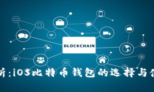 全面解析：iOS比特币钱包的选择与使用指南