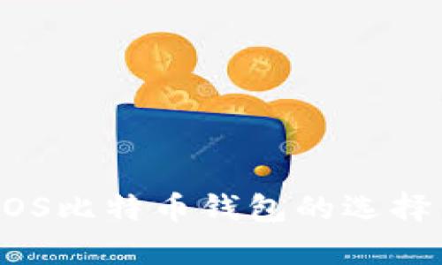 全面解析：iOS比特币钱包的选择与使用指南