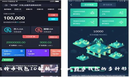 比特币钱包ID解析：了解比特币钱包的多种形式