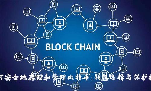 如何安全地存储和管理比特币：钱包选择与保护技巧
