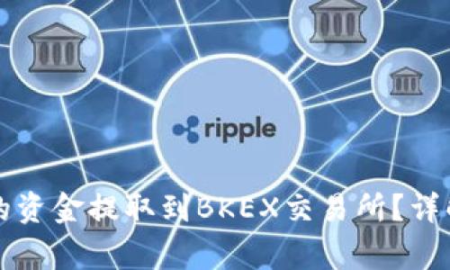 如何将TP钱包中的资金提取到BKEX交易所？详解步骤与注意事项