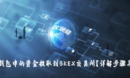 如何将TP钱包中的资金提取到BKEX交易所？详解步骤与注意事项