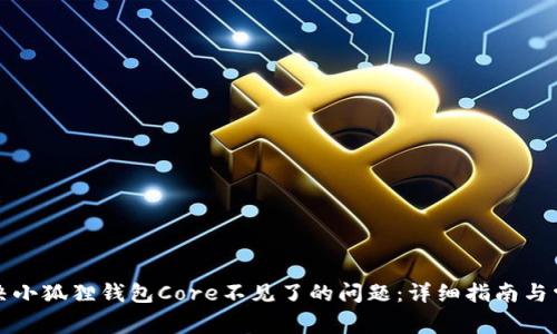 如何解决小狐狸钱包Core不见了的问题：详细指南与常见问答