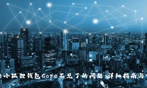 如何解决小狐狸钱包Core不见了的问题：详细指南与常见问答