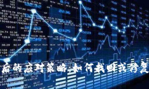 钱包私钥丢失后的应对策略：如何找回或修复数字资产损失