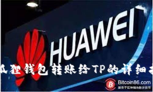 小狐狸钱包转账给TP的详细指南