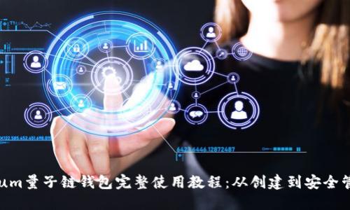 Qtum量子链钱包完整使用教程：从创建到安全管理