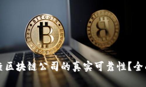 如何查区块链公司的真实可靠性？全面指南