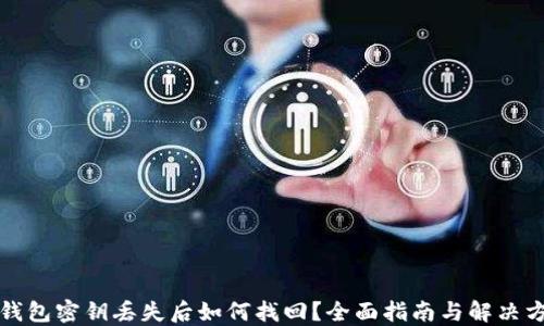 
TP钱包密钥丢失后如何找回？全面指南与解决方案