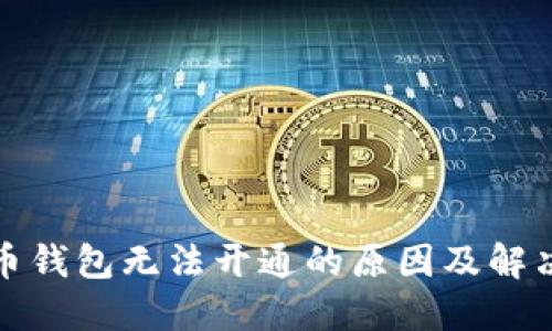 数字人民币钱包无法开通的原因及解决方案详解