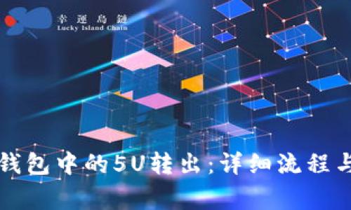 如何将TP钱包中的5U转出：详细流程与注意事项