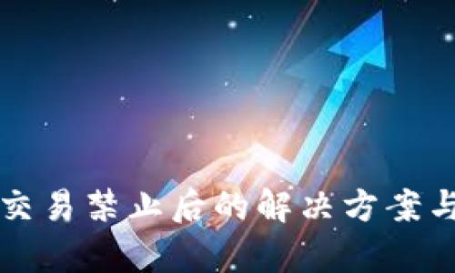 比太钱包交易禁止后的解决方案与应用分析