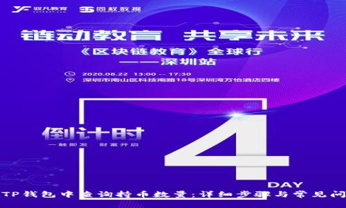 如何在TP钱包中查询持币数量：详细步骤与常见问题解答