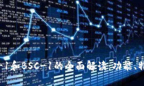 TP钱包中BNB-1和BSC-1的全面解读：功能、特性与使用指南