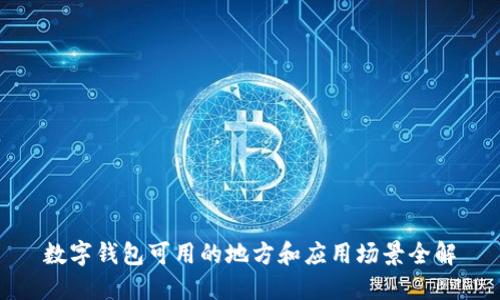 数字钱包可用的地方和应用场景全解