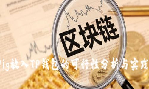  将Pig放入TP钱包的可行性分析与实践指南