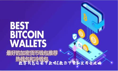   数字钱包还能下款吗？教你下载和使用全攻略 