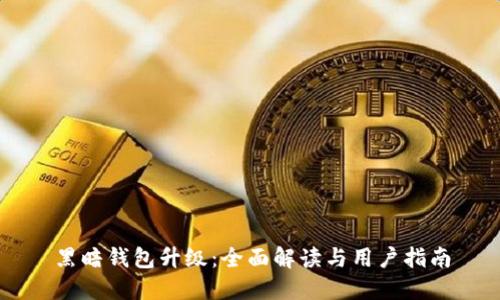 黑暗钱包升级：全面解读与用户指南