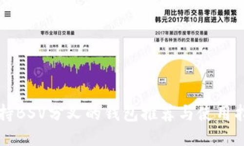 支持BSV分叉的钱包推荐与使用指南