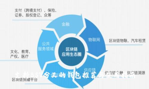 支持BSV分叉的钱包推荐与使用指南