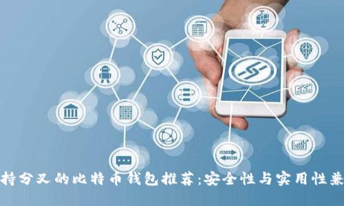 支持分叉的比特币钱包推荐：安全性与实用性兼备