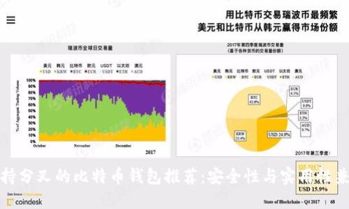 支持分叉的比特币钱包推荐：安全性与实用性兼备
