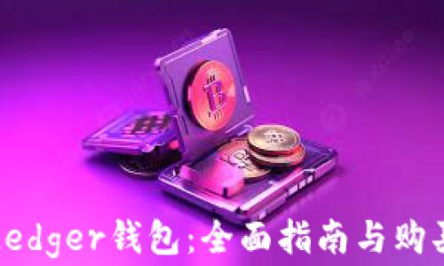 
如何购买Ledger钱包：全面指南与购买注意事项
