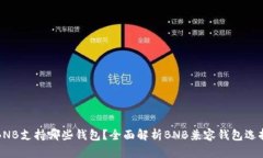 BNB支持哪些钱包？全面解析BNB兼容钱包选择