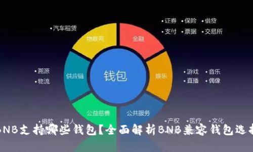BNB支持哪些钱包？全面解析BNB兼容钱包选择