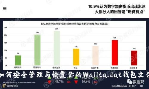 如何安全管理与恢复你的Wallta.dat钱包文件
