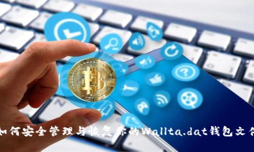 如何安全管理与恢复你的Wallta.dat钱包文件