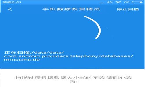 派币钱包使用视频教程：一步步教你安全高效管理数字资产