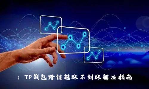 : TP钱包跨链转账不到账解决指南