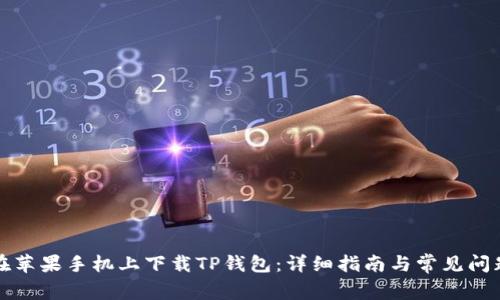 如何在苹果手机上下载TP钱包：详细指南与常见问题解答