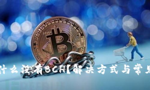 TP钱包为什么没有BCH？解决方式与常见问题解答
