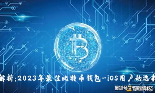全面解析：2023年最佳比特币钱包-iOS用户的选择指南