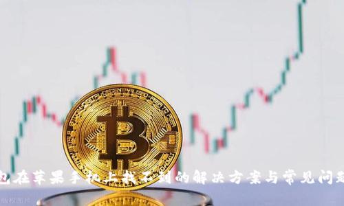TP钱包在苹果手机上找不到的解决方案与常见问题解析