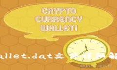 比特币钱包wallet.dat文件详细解析与使用指南