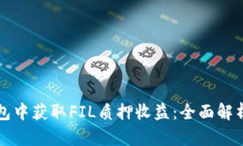 如何在TP钱包中获取FIL质押收益：全面解析与实用指南