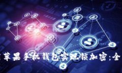 如何用苹果手机钱包实现锁加密：全面指南