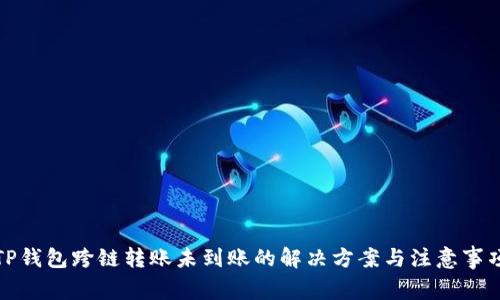 TP钱包跨链转账未到账的解决方案与注意事项