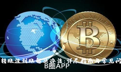 TP钱包转账没到账解决办法：详尽指南与常见问题解答