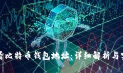 如何查看比特币钱包地址：详细解析与实用指南