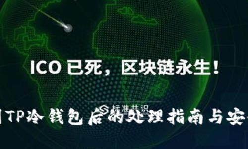 提币到TP冷钱包后的处理指南与安全建议
