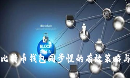 解决比特币钱包同步慢的有效策略与建议