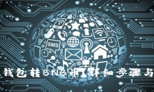 如何向TP钱包转BNB币？详细步骤与注意事项