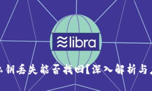 TP钱包私钥丢失能否找回？深入解析与应对策略