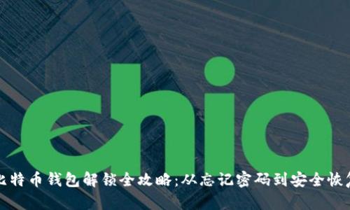 比特币钱包解锁全攻略：从忘记密码到安全恢复