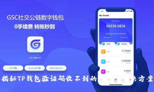 揭秘TP钱包验证码收不到的原因与解决方案