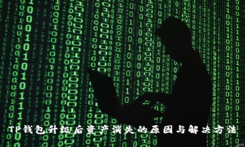 TP钱包升级后资产消失的原因与解决方法
